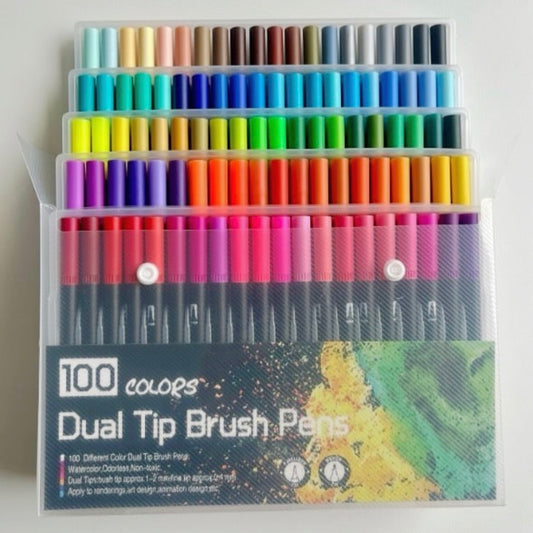 SET DE 100 MARCADORES DOBLE PUNTA