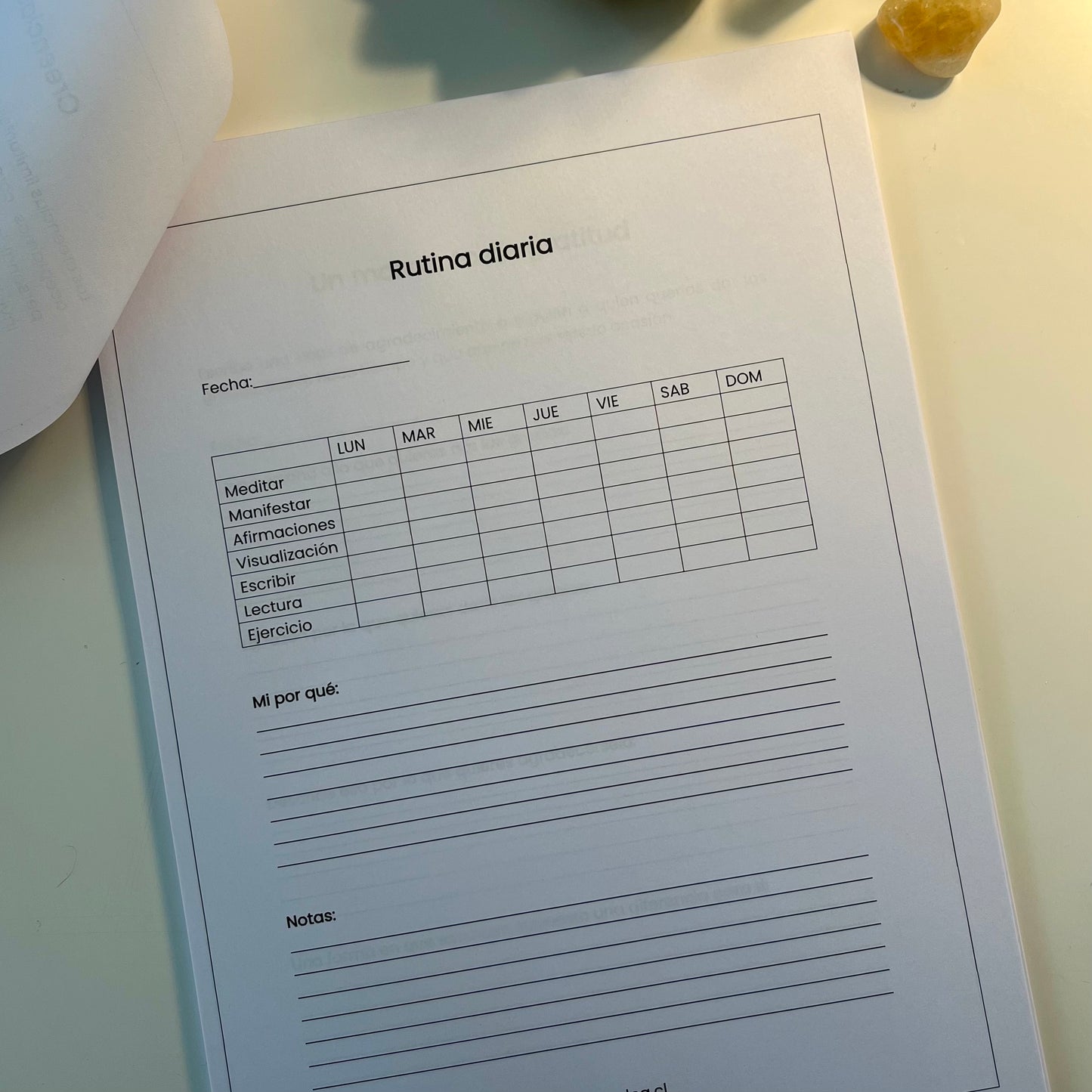 PLANNER MANIFIESTA TUS SUEÑOS (DIGITAL)