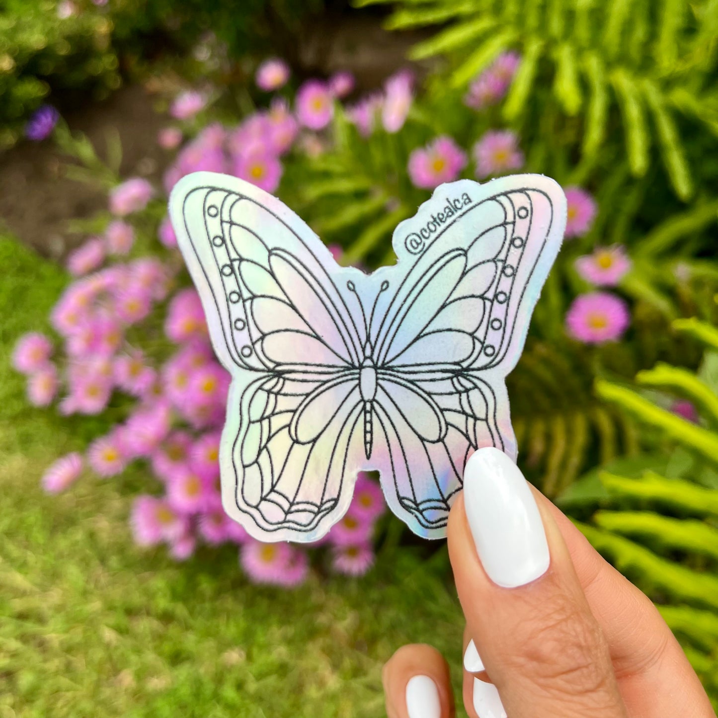 STICKER MARIPOSA