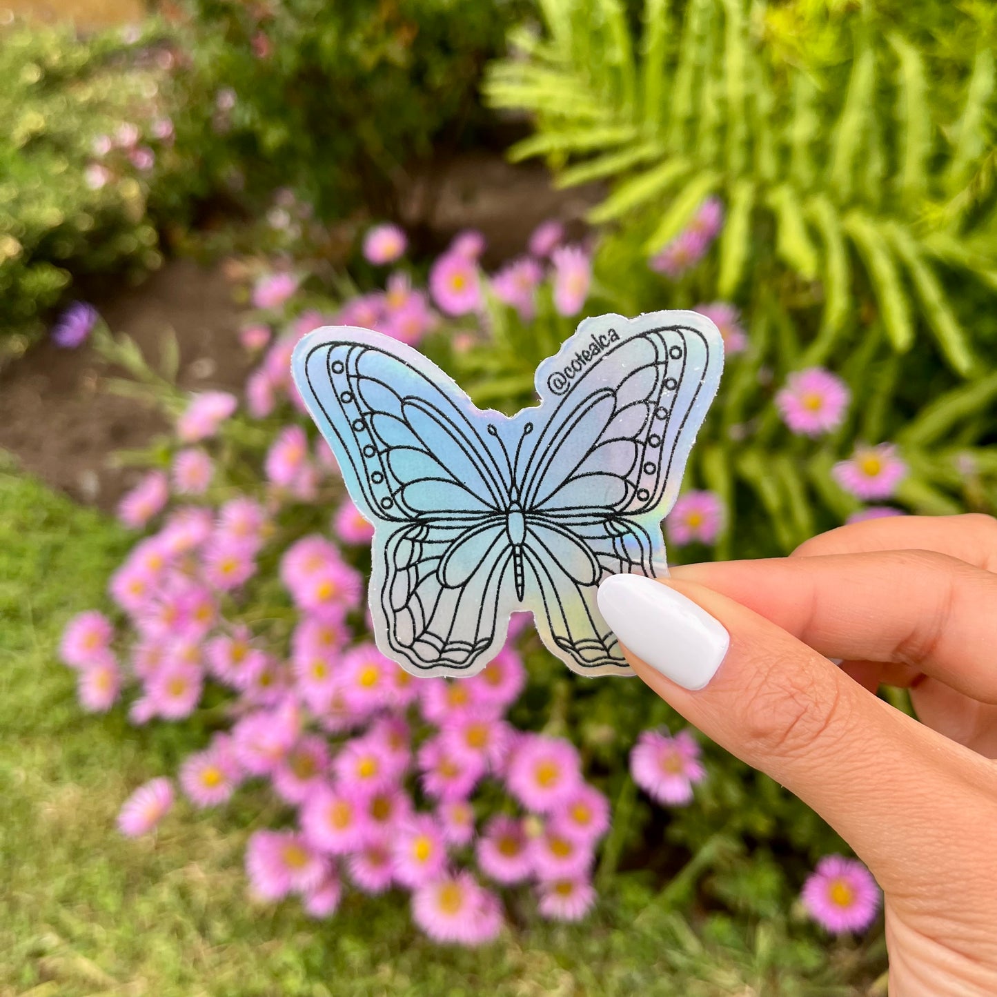 STICKER MARIPOSA