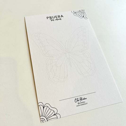 TARJETA PRUEBA TUS COLORES